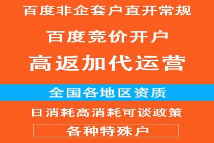 百度推广代运营案例：案例分享：打造爆款产品